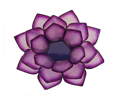 violeta