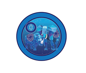 Adhesivo protector Antirrobo y Violencia – Amuleto Feng Shui