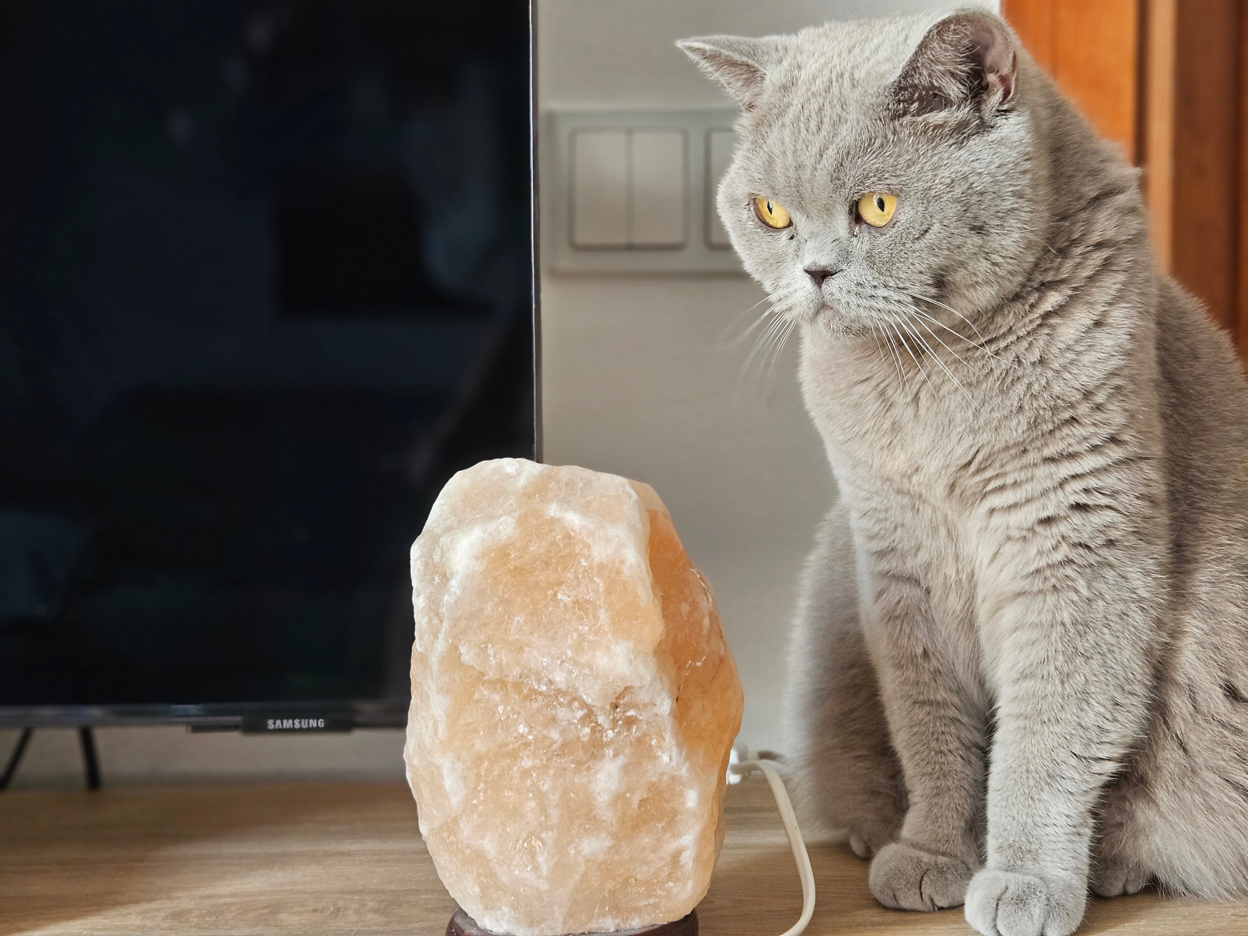 Feng Shui en casa - pieza 4