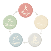 collection-img